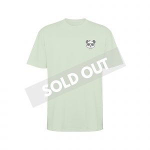 Camiseta Premium Oversize Verde Mist