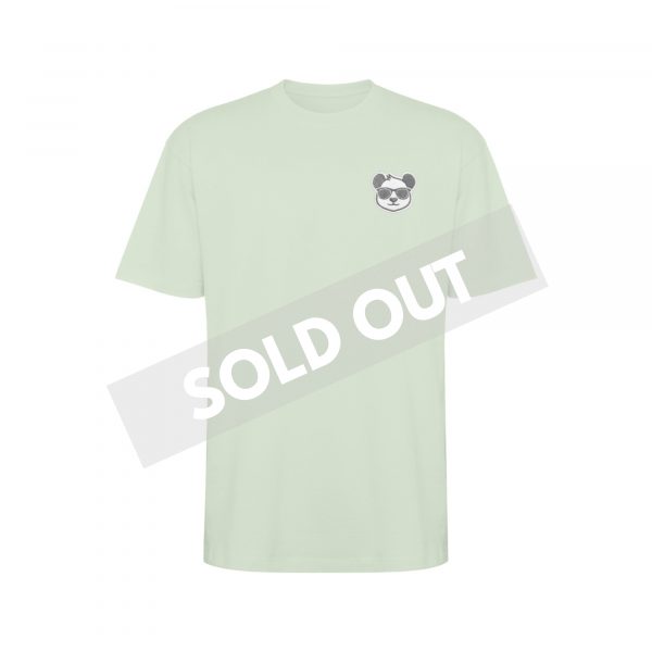 Camiseta Premium Oversize Verde Mist